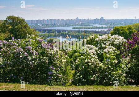 Kuppeln der Vydubychi Kloster unter vielen blühenden Flieder und frische grüne Laub auf dem Hintergrund der Dnipro River, Brücke und Wohnhaus Stockfoto