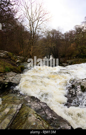 Aira tritt Wasserfall, Matterdale, Penrith, Lake District, Cumbria, England Stockfoto