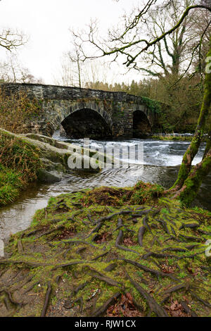 Der Fluss Brathay an Skelwith Bridge in der Nähe von Ambleside, Lake District, Cumbria, England Stockfoto