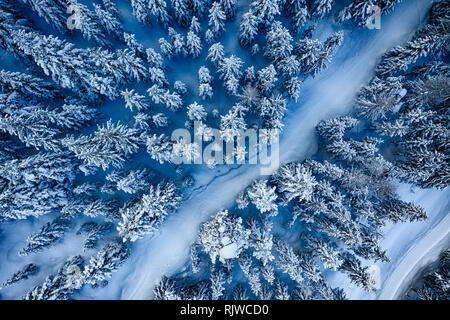 Antenne. Bäume und Schnee im Winter Forest. Natur Hintergrund top Aussicht von Drone. Stockfoto