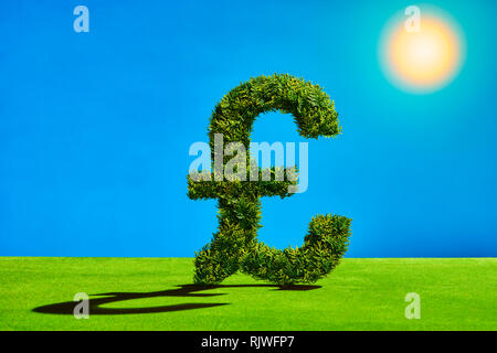 Topiary Tree in der Form einer Raute Symbol Stockfoto