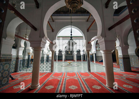 Innenhof und Interieur Der zaouia Moulay Idriss II ist Schrein oder Moschee in Fes, Marokko und Grab von Moulay Idriss II. Stockfoto