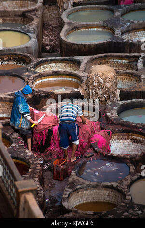 Mаn arbeiten als Tanner in alten Tanks bei Leder Gerbereien mit Farbe. in der alten Medina - Chouara Gerberei, Fes el Bali. Fez, Marokko Stockfoto