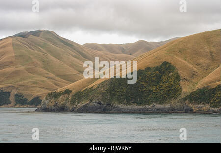 Picton auf malerischen Marlborough Sounds, Südinsel, Neuseeland Stockfoto