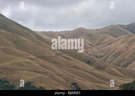 Picton auf malerischen Marlborough Sounds, Südinsel, Neuseeland Stockfoto