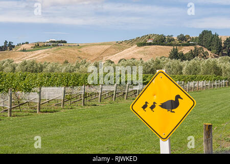 Straßenschild in Neuseeland Warnung der Enten-Kreuzung Stockfoto