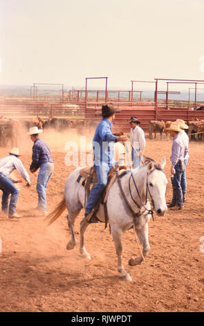 Amerikanische Cowboys: 1990 s Cowboys in den amerikanischen Westen im Frühjahr Branding Zeit auf das Dreieck Ranch in der Nähe von Paducah Texas Ca. 1998. Stockfoto