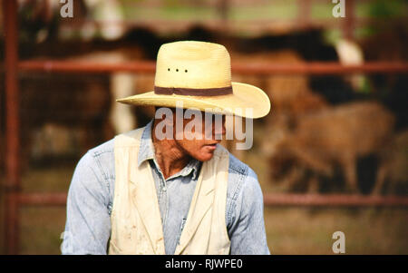 Amerikanische Cowboys: 1990 s Cowboys in den amerikanischen Westen im Frühjahr Branding Zeit auf das Dreieck Ranch in der Nähe von Paducah Texas Ca. 1998. Stockfoto