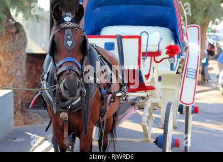 Ein Pferd und Wagen warten auf Touristen auf Aegina Island, Griechenland Stockfoto