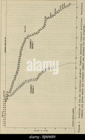 . Atoll Forschung Bulletin. Korallenriffe und Inseln; Meeresbiologie; Marine Sciences. 98. Bitte beachten Sie, dass diese Bilder sind von der gescannten Seite Bilder, die digital für die Lesbarkeit verbessert haben mögen - Färbung und Aussehen dieser Abbildungen können nicht perfekt dem Original ähneln. extrahiert. Smithsonian Institution. Drücken Sie; National Research Council (U. S.). Pacific Science Board, Smithsonian Institution, National Museum of Natural History (U. S.); in den Vereinigten Staaten. Bureau des Sports Fischerei und Wild lebende Tiere. Washington, DC: [Smithsonian Drücken] Stockfoto