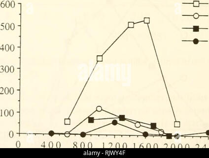 . Atoll Forschung Bulletin. Korallenriffe und Inseln; Meeresbiologie; Marine Sciences. 226 für einen Teil des Tages (Tabelle 1). Über den Preis im Januar und im Juli 1987 und im Januar 1988 auf der Fregatte, wie Aggregationen fiel mit nistenden Arten (Braun, Tölpel und gemeinsamen Noddies in Sommer- und Maskentölpel im Winter) (Abbn. 3-5. 7) in einer großen Zahl von Nestern während der nahrungssuche im Meer. Alle Eier und kleine Küken aller Seevögeln nisten und die älteren Küken von kleinen larids sind anfällig von Möwen und Raub. Die Crested Tern (Sterna bergii) Im Gegensatz zu den anderen Arten gezüchtet. Crested Seeschwalben verschachtelt in der Höhle Stockfoto