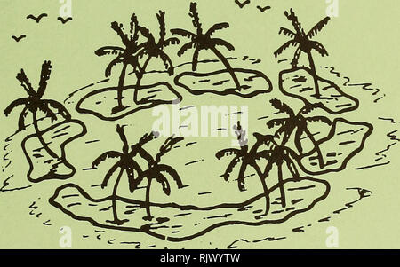 . Atoll Forschung Bulletin. Korallenriffe und Inseln; Meeresbiologie; Marine Sciences. ;. 256-259 April 1982 ATOLL FORSCHUNG BULLETIN 256. Cays des Belize Barrier Riff und Lagune von D.R. Stoddart, F.R. Fosberg und D.L. Spellman 257. Zehn Jahre der Veränderung auf der Glover Reef Cays von D.R. Stoddart, F.R. Fosberg und M.-H. Beutel 258. Pflanzen des Belize Cays durch F.R. Fosberg, D.R. Stoddart, M.-H. Beutel und D.L. Spellman 259. Floristische Anmerkungen zur South Water und Carrie Bow Cays, Stann Creek District, Belize, in 1979-1980 von James S. Pringle.. Bitte beachten Sie, dass diese Bilder aus s extrahiert werden Stockfoto