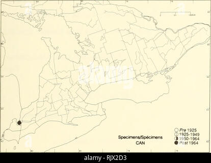 . Atlas der seltenen Pflanzen von Ontario. Seltene Pflanzen, Botanik. Atlas der seltenen Pflanzen von Ontario/Atlas des Plantes rares vasculaires de l'Ontario ORCHIDACEAE Spiranthes bedient LIndI. var. erostellata Catling Oval Damen - tresses, weniger Damen - tresses Spiranthe. Bitte beachten Sie, dass diese Bilder sind von der gescannten Seite Bilder, die digital für die Lesbarkeit verbessert haben mögen - Färbung und Aussehen dieser Abbildungen können nicht perfekt dem Original ähneln. extrahiert. Argus, George W. (George William); nationale Museum der Naturwissenschaften (Kanada). Botanik Abteilung. Stockfoto