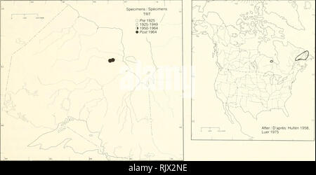 . Atlas der seltenen Pflanzen von Ontario. Seltene Pflanzen, Botanik. Atlas der seltenen Pflanzen von Ontario/Atlas des Plantes rares vasculaires de l'Ontario ORCHIDACEAE Cypripedium calceolus L. var. planipetalum Vict. (Fern). &Amp; Rousseau Flachbild-blättrige gelb Lady's slipper CypripÃ ¨ de planipÃ © Geschichte. Lebensraum: Offene, weiß Fichtenwäldern auf Kalkstein. Anmerkungen: Der taxonomische Status der diese Vielfalt erfordert eine weitere Studie. Lebensraum: ouvertes ForÃªts d epinettes Blanches sur le Calcaire. REMARQUES: Il est nÃ©cessaire d'Ã©tudier plus à fond La taxonomique de cette variÃ©tÃ©. Verweise/QUELLEN L Stockfoto