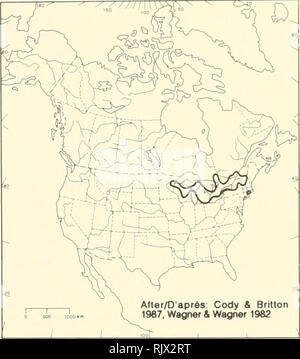 . Atlas der seltenen Pflanzen von Ontario. Seltene Pflanzen, Botanik. Rugulose grapefern, ternate grapefern Botryche rugueux. Bitte beachten Sie, dass diese Bilder sind von der gescannten Seite Bilder, die digital für die Lesbarkeit verbessert haben mögen - Färbung und Aussehen dieser Abbildungen können nicht perfekt dem Original ähneln. extrahiert. Argus, George W. (George William); nationale Museum der Naturwissenschaften (Kanada). Botanik Abteilung. Ottawa: Botanik Division, National Museum der Naturwissenschaften = Division de la Botanique, Musée national des sciences naturelles Stockfoto