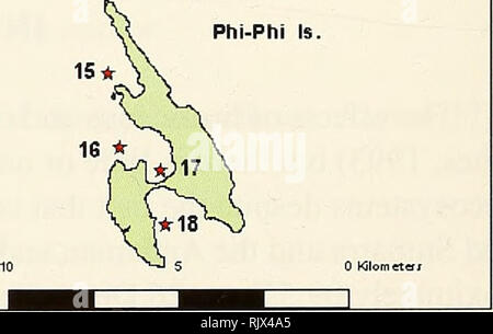 . Atoll Forschung Bulletin. Korallenriffe und Inseln; Meeresbiologie; Marine Sciences. Yoong ls.. , Pai ist. Phi-Phils. /* Eine * 12 ft 14 Phi-Phi ist. em Panwa wenn &Lt;f-^C7 Hae ist.. Abbildung 1. Karten, auf denen die Lage der Überwachungsstellen 1-18 entlang der Westküste von Thailand.. Bitte beachten Sie, dass diese Bilder sind von der gescannten Seite Bilder, die digital für die Lesbarkeit verbessert haben mögen - Färbung und Aussehen dieser Abbildungen können nicht perfekt dem Original ähneln. extrahiert. Smithsonian Institution. Drücken Sie; National Research Council (U. S.). Pacific Science Board; Smithsonian Insti Stockfoto