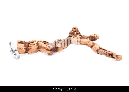 Natürliches Holz große Grapevine Barsch für Vögel auf weißem Hintergrund. Stockfoto