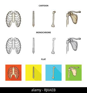 Rippe, Wirbelsäule, Femur, Cage, Chiropraktik, gebrochen, Becken, Röntgen, Backbone, Fibel, Hüfte, Leib, Wirbelsäule, Shin, Becken-, Osteoporose, Tibia, Brustbein, Körperhaltung, Bruch, Bein, Brustbein, Chirurgie, Kalzium, Schmerzen, gesund, Verletzung, Treibholz, Gesundheit, Bewegung, Medizin, Klinik, Biologie, Medizin, Knochen, Skelett, Anatomie, menschliche Organe, Set, Vector, Icon, Illustration, isoliert, Sammlung, Design, Element, Grafik, Vektor, Vektoren, Stock Vektor