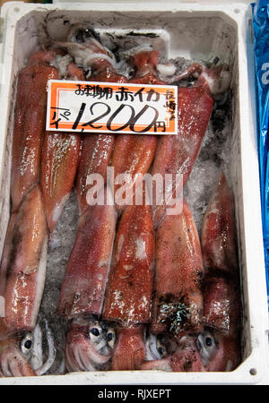 Octopus auf Verkauf in den Omicho Markt. Kanazawa, Ishigawa, Japan Stockfoto