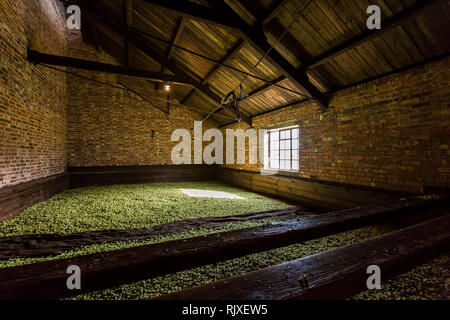 Drücken der Hopfen bei Larkins Brauerei, Chiddingstone, Kent Stockfoto