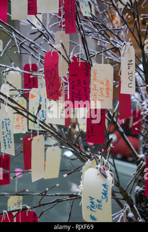 CARDIFF, Großbritannien. 31. Januar 2019. Ein Baum in Cardiff Capitol Einkaufszentrum, wo Menschen lieben Anmerkungen zu jemand zum Valentinstag schreiben Stockfoto