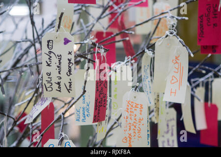 CARDIFF, Großbritannien. 31. Januar 2019. Ein Baum in Cardiff Capitol Einkaufszentrum, wo Menschen lieben Anmerkungen zu jemand für den Valentinstag schreiben Stockfoto