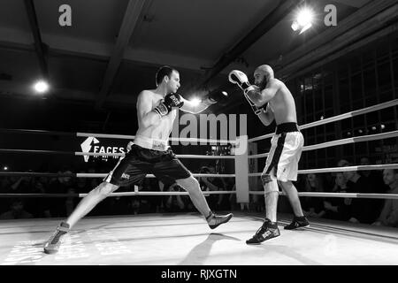 Schachboxen Gleiches an der geistigen Fight Club in Berlin. Stockfoto