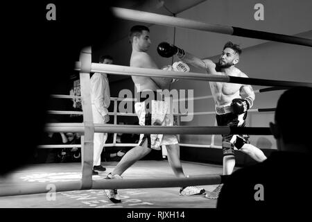 Schachboxen Gleiches an der geistigen Fight Club in Berlin. Stockfoto