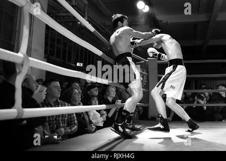 Schachboxen Gleiches an der geistigen Fight Club in Berlin. Stockfoto