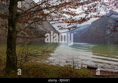 Bergsee / Königsee (Bayern, Deutschland) Stockfoto