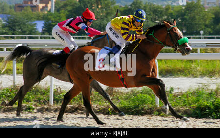 Start horse racing für die Letni in Pyatigorsk, nördlichen Kaukasus, Russland Stockfoto