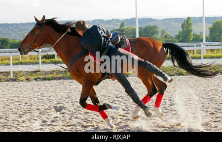 Mutige Mann reitet auf einem braunen Pferd. Stockfoto