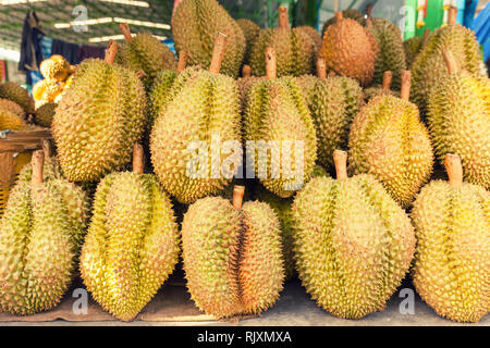 Exotische tropische Früchte Durian auf der Straße Markt/Thai Früchte: Durian, die umstrittene König von tropischen Früchten/Asien Stockfoto