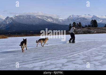 Ein Mann löscht Schnee von einem Outdoor Eislaufbahn auf einem Teich in der Nähe von Invermere, BC, in den kanadischen Rockies Stockfoto