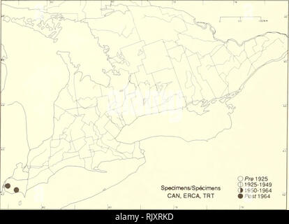 . Atlas der seltenen Pflanzen von Ontario. Seltene Pflanzen, Botanik. Atlas der seltenen Pflanzen von Ontario/Atlas des Plantes rares vasculaires de l'Ontario LAMIACEAE Scutellaria nervosa Pursh Geädert skullcap Scutellaire nervée ich. Bitte beachten Sie, dass diese Bilder sind von der gescannten Seite Bilder, die digital für die Lesbarkeit verbessert haben mögen - Färbung und Aussehen dieser Abbildungen können nicht perfekt dem Original ähneln. extrahiert. Argus, George W. (George William); nationale Museum der Naturwissenschaften (Kanada). Botanik Abteilung. Ottawa: Botanik Division, National Museum Stockfoto