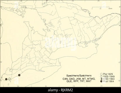 . Atlas der seltenen Pflanzen von Ontario. Seltene Pflanzen, Botanik. Atlas der seltenen Pflanzen von Ontario/Atlas des Plantes rares vasculaires de l'Ontario LAMIACEAE Pycnanthemum pllosum Nutt, (S. verticillatum (Michx.) Pers. var. pilosum (Nutt.) Cooperrider) haarige Berg-mint Pycnanthème hirsute. Bitte beachten Sie, dass diese Bilder sind von der gescannten Seite Bilder, die digital für die Lesbarkeit verbessert haben mögen - Färbung und Aussehen dieser Abbildungen können nicht perfekt dem Original ähneln. extrahiert. Argus, George W. (George William); nationale Museum der Naturwissenschaften Stockfoto