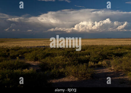 Guzman, Mpo. Ascensión, Chihuahua, Mexiko Stockfoto