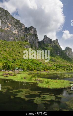 Feuchtgebiete und Sümpfe mit Seerosen und Schilf am Fuße der Bergkette in Khao Sam Roi Yot Nationalpark in Thailand Stockfoto