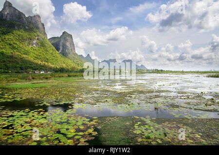 Feuchtgebiete und Sümpfe mit Seerosen und Schilf am Fuße der Bergkette in Khao Sam Roi Yot Nationalpark in Thailand Stockfoto