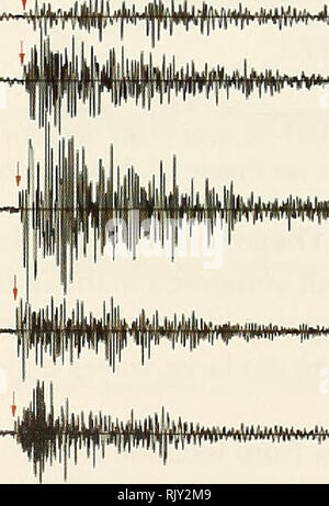 . Atoll Forschung Bulletin. Korallenriffe und Inseln; Meeresbiologie; Marine Sciences. 24 UE 32° E Abbildung 13. Tide-gauge Stationen mit tsunami Datensätze in Südafrika (Quelle: Fischerei und Ozeane Kanada, 2005). Südafrika Sumatra Erdbeben (M=9,0) Port Nolloth p*&gt; • /* # * - T*-tMrh* Ich** fi CD&gt; CO der Saldanha&gt; NPK-* H?** t*^m^w^^^/l^ WMMW ili) * ICH * 4 f*bin*t^Mfla * vii Mii.. ich. Â. Kapstadt Simmons Bay Mossel Bay Mossel Ha WW Port Elizabeth M^/^'^T VyT-V*^ East London -&gt; - IpW^^^ - Richards Bay 25 26 27 28 29 Dezember 2004 30 31 Abbildung 14. Tide-gauge records Tsunami vom Dezember 2004 in Sou Stockfoto