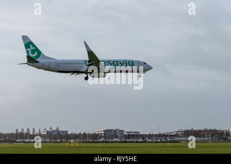 AMSTERDAM/Niederlande - Jan 08, 2019: Transavia Boeing 737-8 K2 PH-HZL Passagierflugzeug der Landung am Flughafen Amsterdam Schiphol Stockfoto