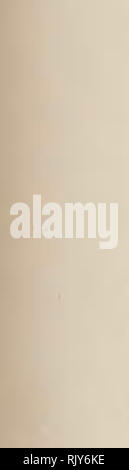 . Atlas der zoogeographie; eine Reihe von Karten, die die Verteilung von über sieben hundert Familien, Gattungen und Arten der vorhandenen Tiere. Zoologie; Zoogeographie. 66 BIBLIOGRAPHIE . Fairmaire, L. Mission Scientifique du Cap Horn. 1882-1883. Tome vi., D.1. Coleopteres, S.2-63. Paris. 1888. Fleutiaux, E., und Salle A. Liste des Coleopteres de la Guadeloupe. Ann. Soc. Ent. Fr (6), ist., S. 351-484. 1889. Godman Frederick Ducane und Salvin, Osbert. Biologia Centrali-Americana. Insecta, Lepidoptera Rhopalocera. London. 1879-1901. Gundlach, J. Contribucion a la Rohstoffwirtschaftliche Cubana. Habana. Stockfoto