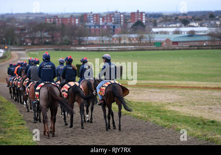 Rennen Pferde auf dem galoppiert in Newmarket. Stockfoto