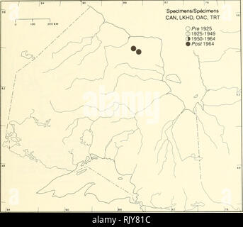 . Atlas der seltenen Pflanzen von Ontario. Seltene Pflanzen, Botanik. Atlas der seltenen Pflanzen von Ontario/Atlas des Plantes rares vasculaires de l'Ontario CARYOPHYLLACEAE MInuartIa groenlandica (Retz.) Ostenf. {Arenaria groenlandica (Retz.) Spreng.) Grönland sandwort, Mountain sandwort Sabline du Groenland. Bitte beachten Sie, dass diese Bilder sind von der gescannten Seite Bilder, die digital für die Lesbarkeit verbessert haben mögen - Färbung und Aussehen dieser Abbildungen können nicht perfekt dem Original ähneln. extrahiert. Argus, George W. (George William); Nationale Museum Stockfoto