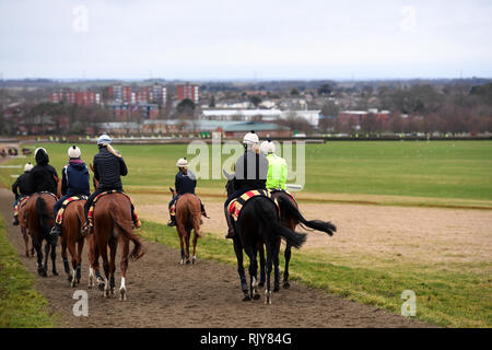 Rennen Pferde auf dem galoppiert in Newmarket. Stockfoto