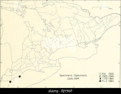 . Atlas der seltenen Pflanzen von Ontario. Seltene Pflanzen, Botanik. Atlas der seltenen Pflanzen von Ontario/Atlas des Plantes rares vasculaires de l'Ontario ASTERACEAE Eupatorium coelest "Mama L.. Mistflower Eupatoire. Bitte beachten Sie, dass diese Bilder sind von der gescannten Seite Bilder, die digital für die Lesbarkeit verbessert haben mögen - Färbung und Aussehen dieser Abbildungen können nicht perfekt dem Original ähneln. extrahiert. Argus, George W. (George William); nationale Museum der Naturwissenschaften (Kanada). Botanik Abteilung. Ottawa: Botanik Division, National Museum der natürlichen Sci Stockfoto