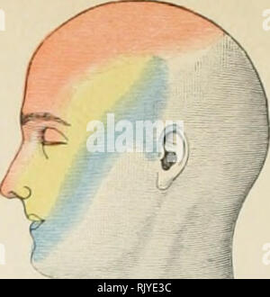 . Atlas der Angewandten (Topografische) menschlichen Anatomie für Studenten und Praktiker. Anatomie. Abb. 35.. Bitte beachten Sie, dass diese Bilder sind von der gescannten Seite Bilder, die digital für die Lesbarkeit verbessert haben mögen - Färbung und Aussehen dieser Abbildungen können nicht perfekt dem Original ähneln. extrahiert. Bardeleben, Karl Heinrich, 1849-1919; Haeckel, Ernst Heinrich Philipp August, 1834-1919. London: Rebman Limited, New York, Rebman Unternehmen Stockfoto