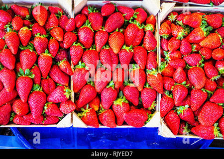 Erdbeeren in Boxen in Markt gestapelt Stockfoto