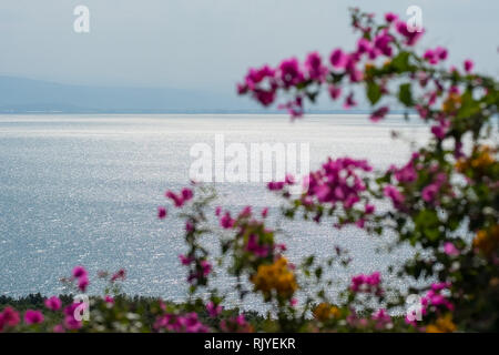 Die schöne Landschaft des Sees von Galiläa oder Kinneret Sees, Israel. Stockfoto