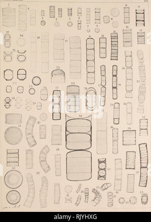 . Atlas der Diatomaceen-Kunde. A. Sclnni (Lt * 8 Diatons tlaa. Bitte beachten Sie, dass diese Bilder sind von der gescannten Seite Bilder, die digital für die Lesbarkeit verbessert haben mögen - Färbung und Aussehen dieser Abbildungen können nicht perfekt dem Original ähneln. extrahiert. Schmidt, Adolf, 1812-1899. Reisland Leipzig: O. R. Stockfoto